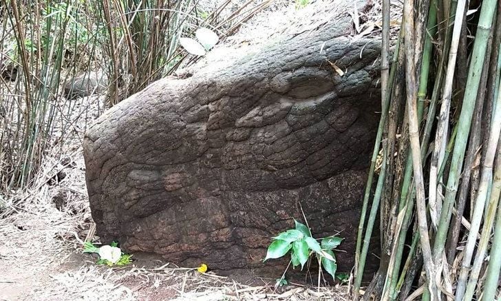 ‘Snake’ cave closed after visitors, looking for lottery numbers, graffiti the rocks