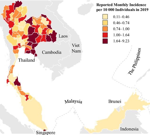 Lockdown may contribute to Thailand's rise in dengue fever cases, study suggests | News by Thaiger