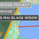 Thailand News Today | Land bridge project, “Thai Bridge”, Chaing Mai black widow | October 12 | The Thaiger