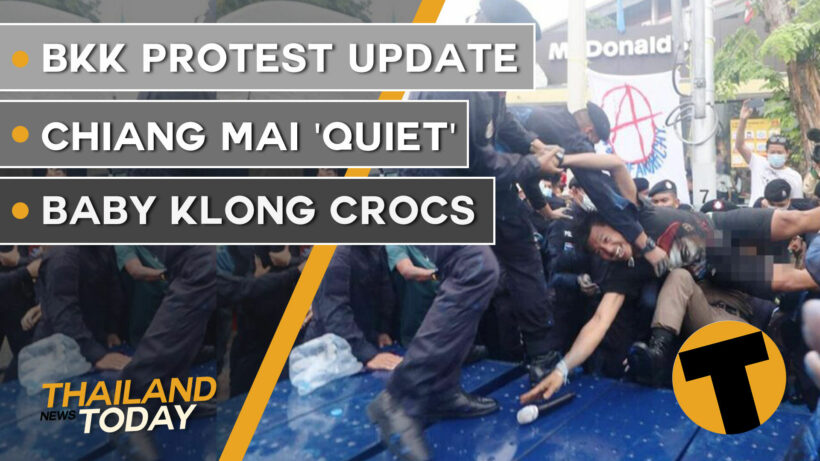 Thailand News Today | BKK protest update, Chiang Mai ‘quiet’, Baby klong crocs | October 14