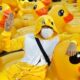 Yellow ducks dominate at Bangkok pro-democracy rally | The Thaiger