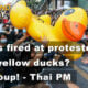 Thailand News Today | Shots fired, the yellow ducks, “no coup” promise | November 26 | The Thaiger