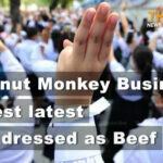 Thailand News Today | Coconut Business, Weekend protests, Pork dressed as Beef | November 13 | Thaiger