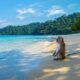 Rejoice Thailand. 681 tourists will arrive in November! | The Thaiger