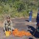 Young monk killed by wild elephant while meditating | The Thaiger