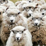 QAnon, plandemics and sheeple &#8211; making sense of the Covid conspiracy-speak | Thaiger