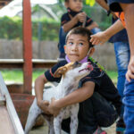 Phuket&#8217;s Soi Dog Foundation opens Humane Education Centre at Mai Khao shelter | Thaiger