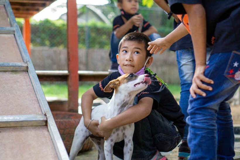 Phuket’s Soi Dog Foundation opens Humane Education Centre at Mai Khao shelter