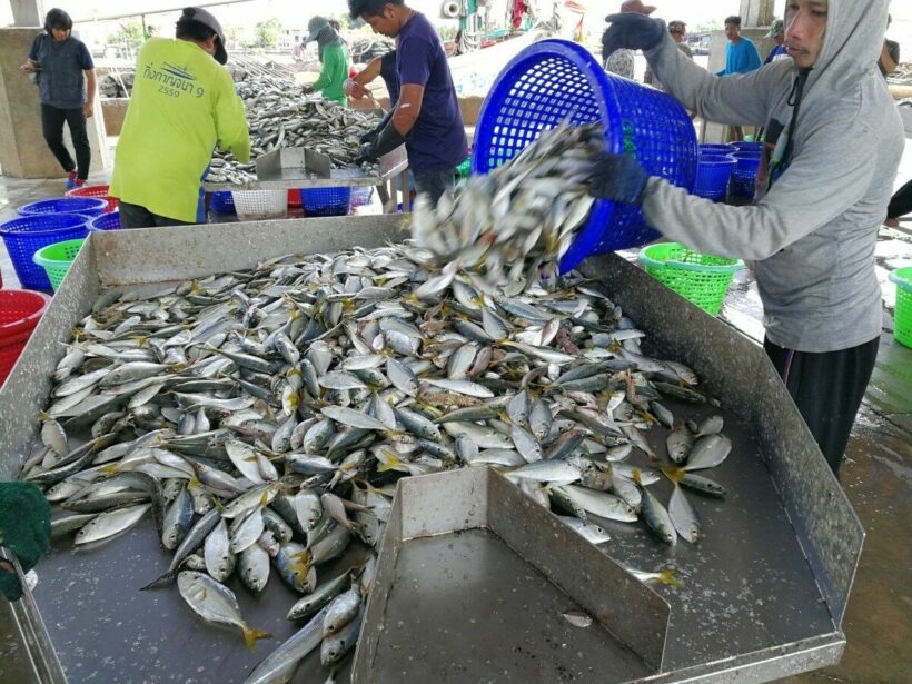 Laos temporarily bans seafood from Thailand after Covid-19 outbreak