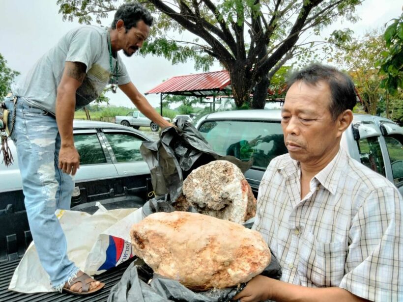 Thai man could get .2 million USD for whale vomit known as “floating gold”