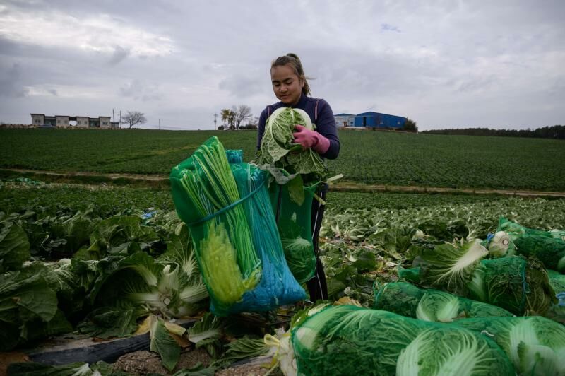 High number of Thai migrant worker deaths in South Korea