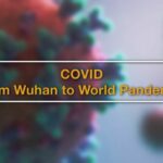 A year of COVID &#8211; from Wuhan to World Pandemic | VIDEO | Thaiger