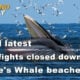 Thailand News Today | Covid latest, Cockfights closed down, Bryde’s Whale beached | January 11 | The Thaiger