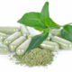 Thai herb studied for alternative Covid-19 treatment | The Thaiger