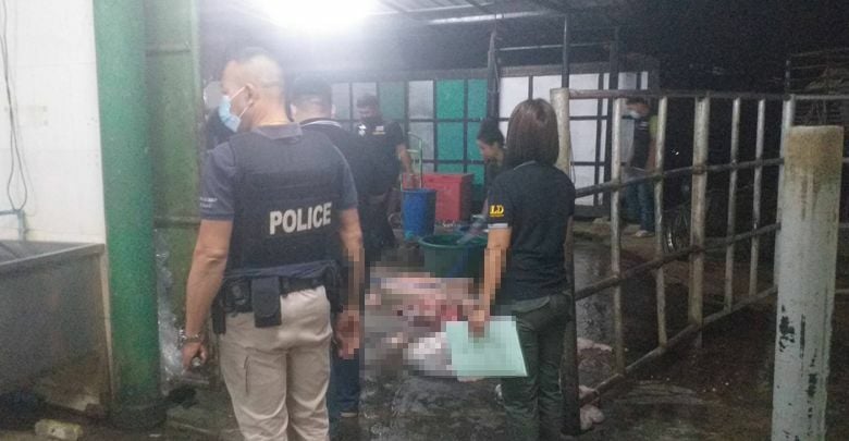 Police raid Isaan farm, arrest 2 people allegedly involved in illegal horse meat trade