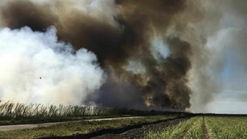 Air pollution reaches “unhealthy” levels in Thailand’s north and northeast