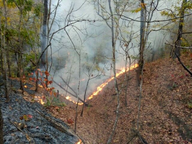 Wildfires hit Mae Hong Son’s Pai district