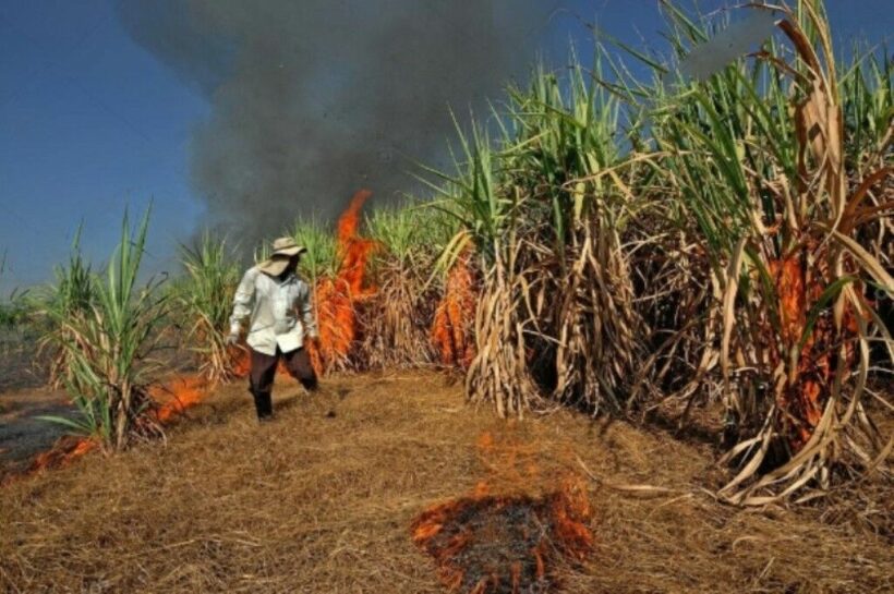 Stop the burn – Thai Governors told to stop farmers burning off agricultural waste