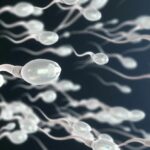 Dutchman ordered to quit donating sperm after allegedly fathering 550 kids | Thaiger