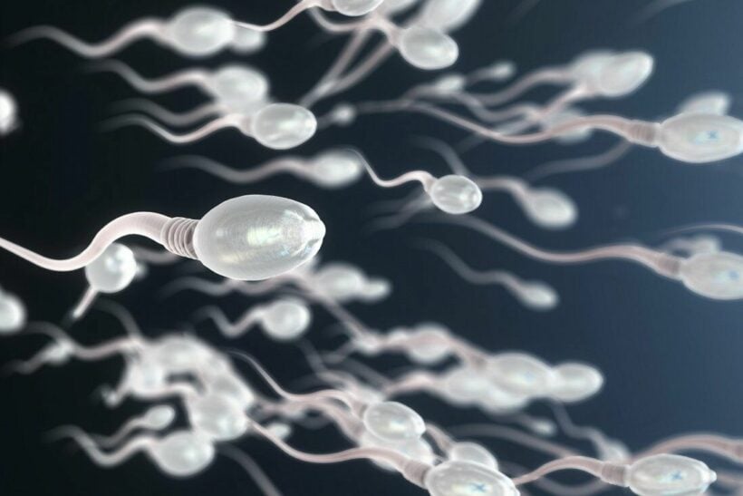 Study claims Covid-19 can negatively impact a man’s sperm, experts are skeptical