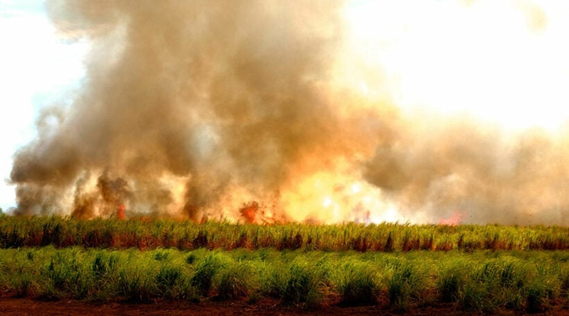 Thailand on fire – NASA satellite website tracks the country’s farm fires