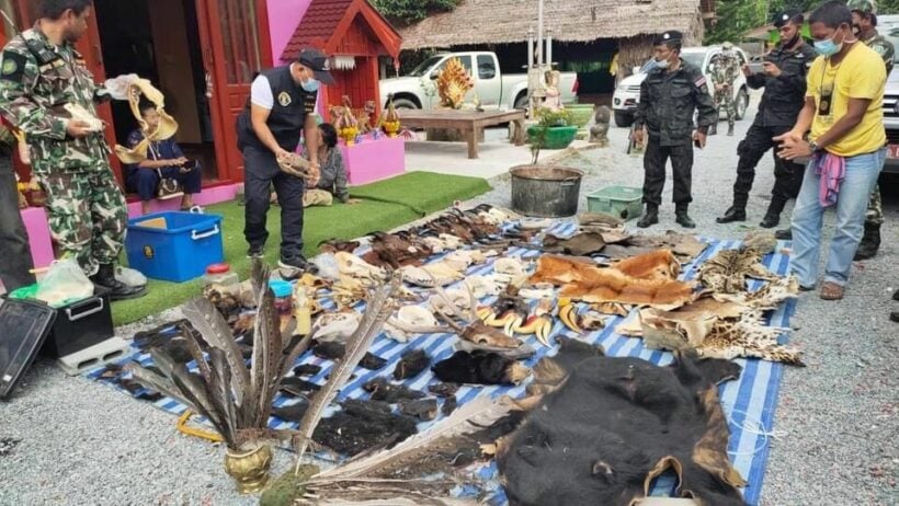 Southern Thailand man arrested for allegedly selling protected animal carcasses online