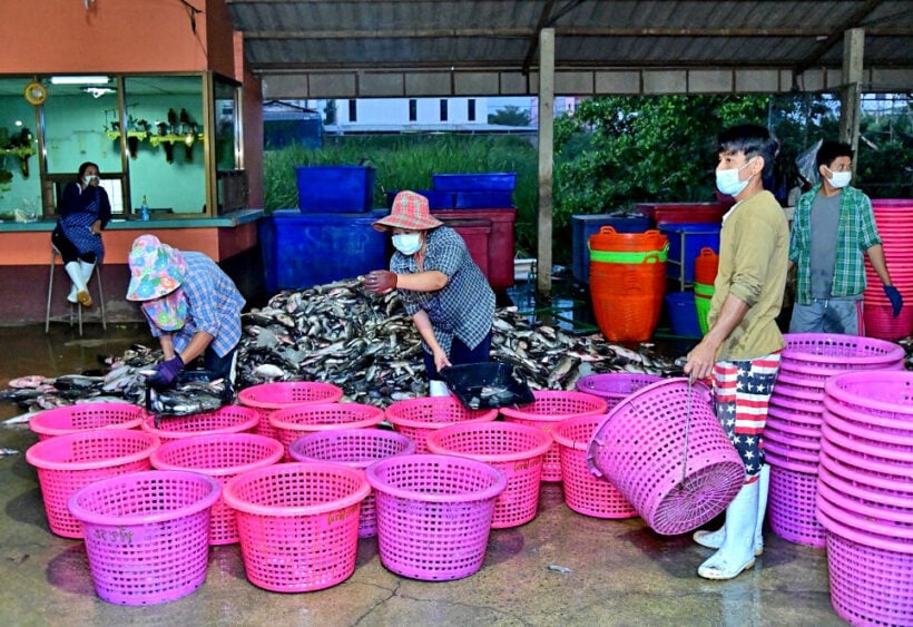 Human trafficking ‘gang’ arrested over Samut Sakhon outbreak | VIDEO