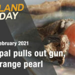 Thailand News Today | Principal pulls out gun, rare orange pearl | February 5 | Thaiger