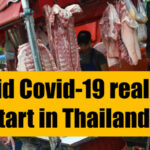 Did the Covid-19 virus actually originate in Thailand? | VIDEO | Thaiger