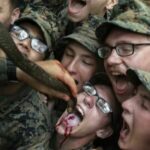 PETA calls for Thai and US militaries to stop killing animals in Cobra Gold training | Thaiger