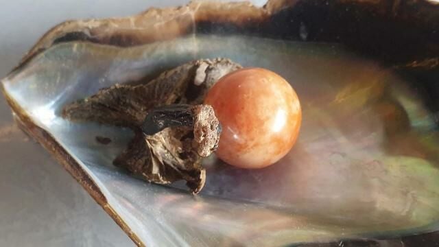 Thai man finds rare orange pearl possibly worth millions of baht in Nakhon Si Thammarat