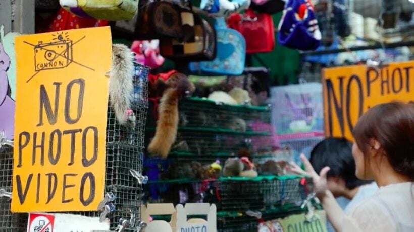 Health officials deny WHO investigation into Bangkok’s Chatuchak market as potential origin of Covid