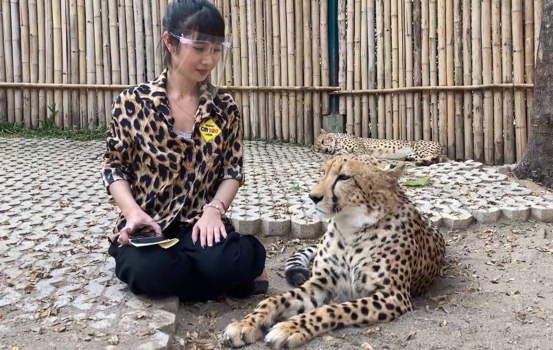 PETA calls on Thai officials to ban photos with exotic animals due to Covid-19