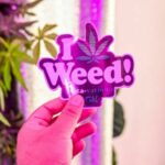 Thailand becomes more cannabis-friendly after leaves removed from narcotics list | Thaiger