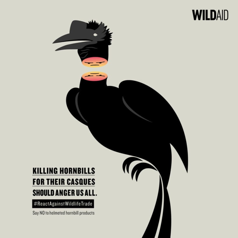 WildAid launches ad campaign in Thailand to raise awareness about illegal wildlife trade | News by Thaiger