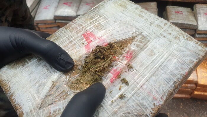 Another drug bust near the Mekong River, 500 kilograms of cannabis seized