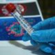 Phuket finds 4 Covid infections from newly-mandated rapid antigen tests | Thaiger