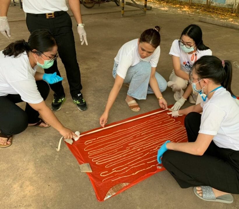 18 metre tapeworm comes out of Thai man, doctors suspect he ate raw beef containing parasite eggs | News by Thaiger