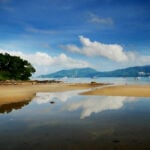 Patong official denies wastewater to blame for macro algae bloom along beachfront | Thaiger