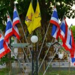 Thai activist to submit petition against charter amendment bill voters | Thaiger