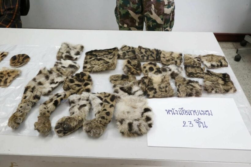 WildAid launches ad campaign in Thailand to raise awareness about illegal wildlife trade