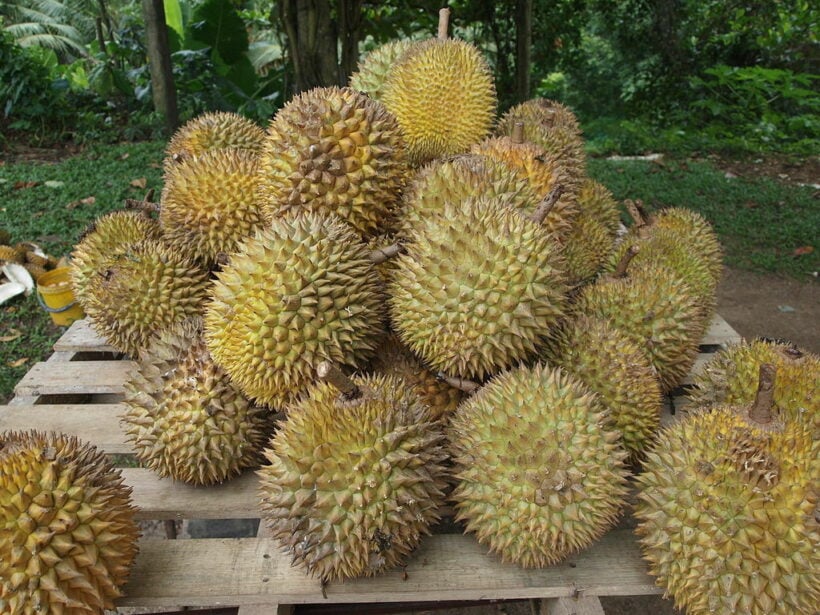 Thailand fruit exports up, despite new Covid-19 fears