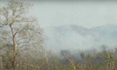 Biochar could solve smoke pollution problem in Chiang Mai | Thaiger