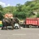 Elephants walking from Pattaya to Surin get a lift | Thaiger