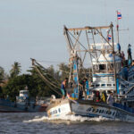 Environmentalists criticise Netflix fishing doco for inaccuracies and misinformation | Thaiger