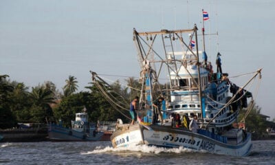 Environmentalists criticise Netflix fishing doco for inaccuracies and misinformation | Thaiger