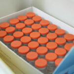 Thailand plans to include 3 million foreigners in mass vaccination program | Thaiger