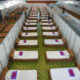 UPDATE: Field hospitals being established in Covid hot zones around Thailand | Thaiger