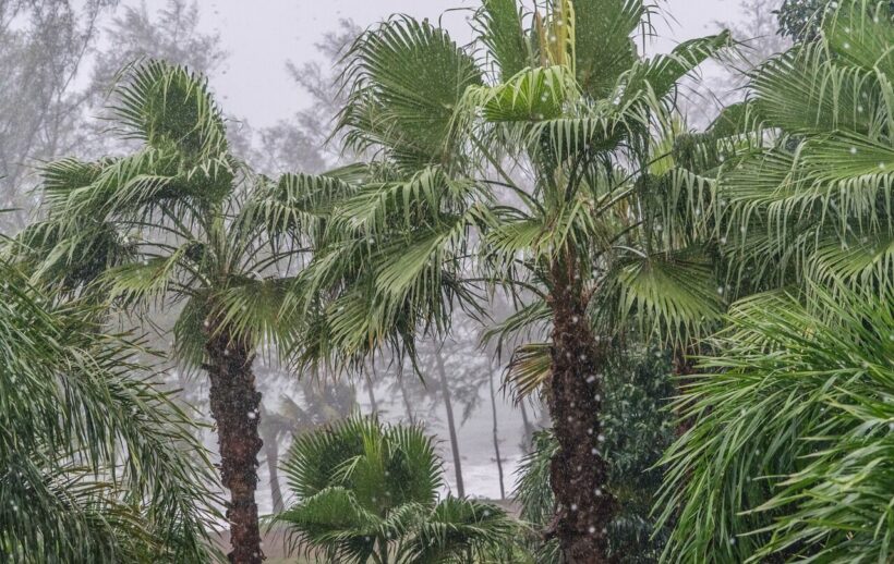 Thailand’s monsoon season expected to be heaviest in 30 years