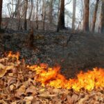 Report attributes 32,000 premature deaths in Thailand to air pollution | Thaiger